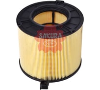 Sakura A31843_Sakura