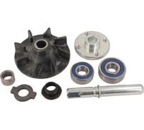 Ремкомплект помпы для а/м ГАЗ 53, 3307 (дв. 511/513, валик, крыльчатка, сальник, подшипник, ступица) Riginal RG511-3906633-01