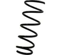 Пружина подвески задней для а/м Renault Duster 1.6 16v 4x4 Riginal RG550202720R