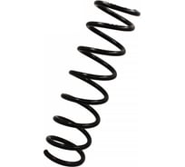 Пружина подвески задней для а/м Ford Focus II Riginal RG1335392