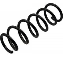 Пружина подвески задней для а/м Lada X-Ray Riginal RG550209371R