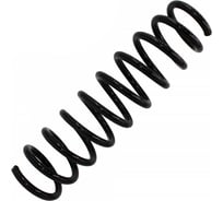 Пружина подвески задней для а/м Kia Ceed 1.4/1.6/2.0/06-13 Riginal RG553501H560