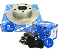 Диски тормозные с колодками задние комплект для а/м Audi A 6 I/A6 II, VW Passat B5 Riginal RGDF2651KIT