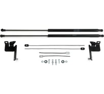 Газовые упоры капота для Toyota Highlander IV U70 поколение 2020-н.в., 2 шт АвтоУпор UTOHIG021