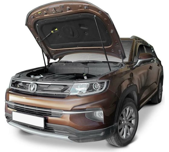 Упоры капота для Changan CS35 Plus I поколение 2018-н.в., 2 шт АвтоУпор UCHCS3012
