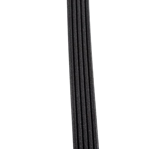Поликлиновой ремень Globelt 5PJ610