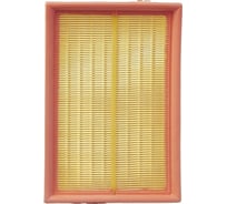 Фильтр воздушный DFA2562 Double Force 156024