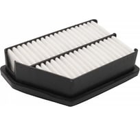 Фильтр воздушный SSANGYONG ACTYON 10- 2.0 DIESEL Riginal RG2311334100