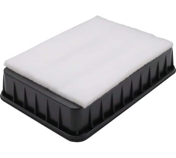 Фильтр воздушный MITSUBISHI LANCER 07-/OUTLANDER/PEUGEOT 4007 Riginal RG1500A086 1