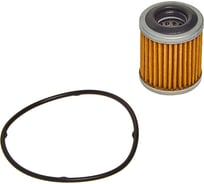 Фильтр АКПП (картридж) DFT332CF Double Force 1719275