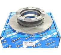 Диск тормозной для а/м Ford Transit 2.2-2.4 TDCI 06- без АБС Riginal RGDF4821S