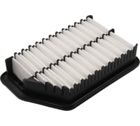 Фильтр воздушный Riginal HYUNDAI/KIA (IX35/Sportage/Tucson/Cerato/Elantra двигатель 2.0 л) RG28113-3X000