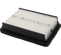 Фильтр воздушный HYUNDAI ELANTRA 16- Riginal RG28113F2000