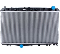 Радиатор охлаждения двигателя Delcoparts 19347566