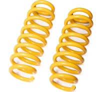 Пружины подвески задние SUFIX SZ-2954