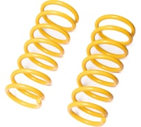 Пружины подвески задние SUFIX SZ-1387