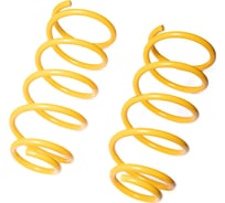 Пружины подвески задние SUFIX SZ-2889