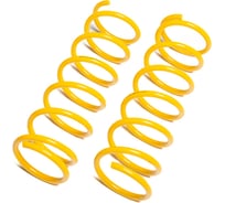 Пружины подвески задние SUFIX SZ-2948