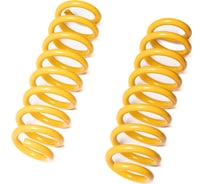 Пружины подвески задние SUFIX SZ-1362