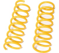 Пружины подвески задние SUFIX SZ-1414