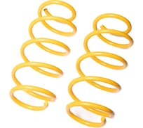 Пружины подвески передние SUFIX SZ-2623