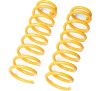 Пружины подвески задние SUFIX SZ-2916