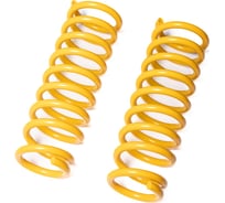 Пружины подвески задние SUFIX SZ-2922