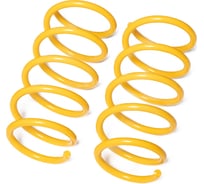 Пружины подвески передние SUFIX SZ-2605