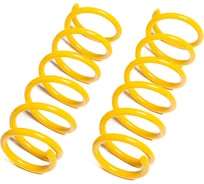 Пружины подвески задние SUFIX SZ-2941