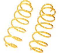 Пружины подвески передние SUFIX SZ-1283