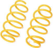 Пружины подвески передние SUFIX SZ-1259