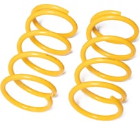 Пружины подвески задние SUFIX SZ-2970