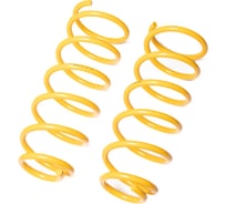 Пружины подвески задние SUFIX SZ-2642