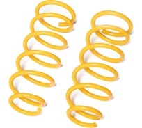 Пружины подвески задние SUFIX SZ-1409