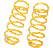 Пружины подвески задние SUFIX SZ-2960