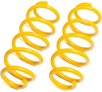 Пружины подвески задние SUFIX SZ-2972