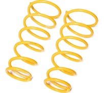 Пружины подвески задние SUFIX SZ-2885