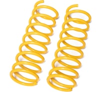 Пружины подвески задние SUFIX SZ-2951