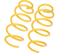 Пружины подвески передние SUFIX SZ-2761