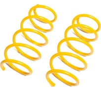 Пружины подвески передние SUFIX SZ-1321