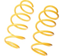 Пружины подвески передние SUFIX SZ-2673