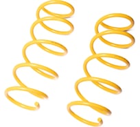 Пружины подвески передние SUFIX SZ-2764