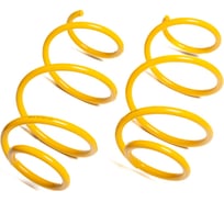 Пружины подвески передние SUFIX SZ-1001