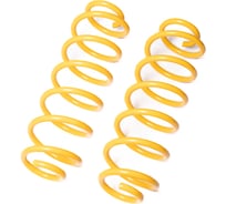 Пружины подвески задние SUFIX SZ-2976