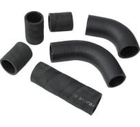 Патрубки радиатора для а/м ПАЗ-3205 (кт. 6 шт.) Riginal RG3205-1303000