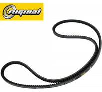 Ремень приводной клиновой 10x1350 MAN/Renault/Volvo/Iveco Riginal RGAVX10X1350