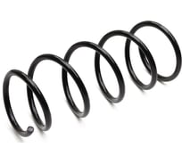 Задняя пружина подвески PATRON NISSAN: SUNNY III 90-95, SUNNY III Hatchback 90-95, SUNNY III Liftback 90-95 PCS872254