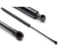 Амортизатор крышки багажника общая длина: 528 мм, выталкивающая сила: 600 N, RENAULT: SCENIC III (JZ0/1) 09- PATRON PGS419240