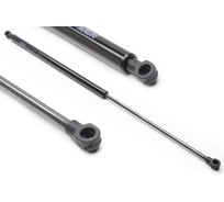 Амортизатор капота общая длина: 650 мм, выталкивающая сила: 190 N, PEUGEOT: 306 94-01, 306 Break 94-02, 306 Наклонная задняя часть 93-01, 306 кабрио 94-02 PATRON PGS3259GZ