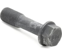 Болт-эксцентрик TOYOTA COROLLA 08- RAV4 05- LEXUS NX200300H 14- PATRON PBLT053